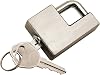 Reese Towpower 7005800 Trailer Coupler Lock, Adjustable, Stainless Steel