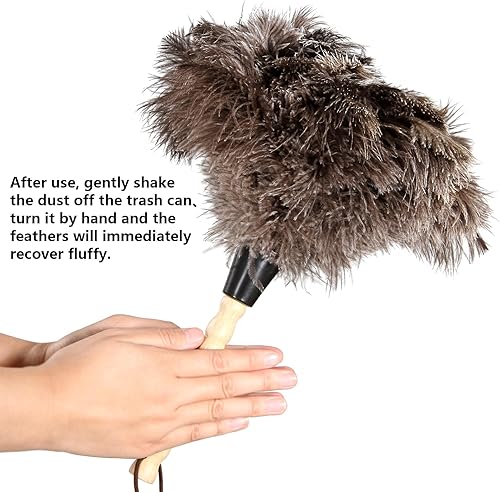 Miniatura 3 de 2 plumeros de avestruz naturales con mango de madera, plumas de avestruz naturales para limpieza del hogar y acabado de oficina (2 unidades, 14