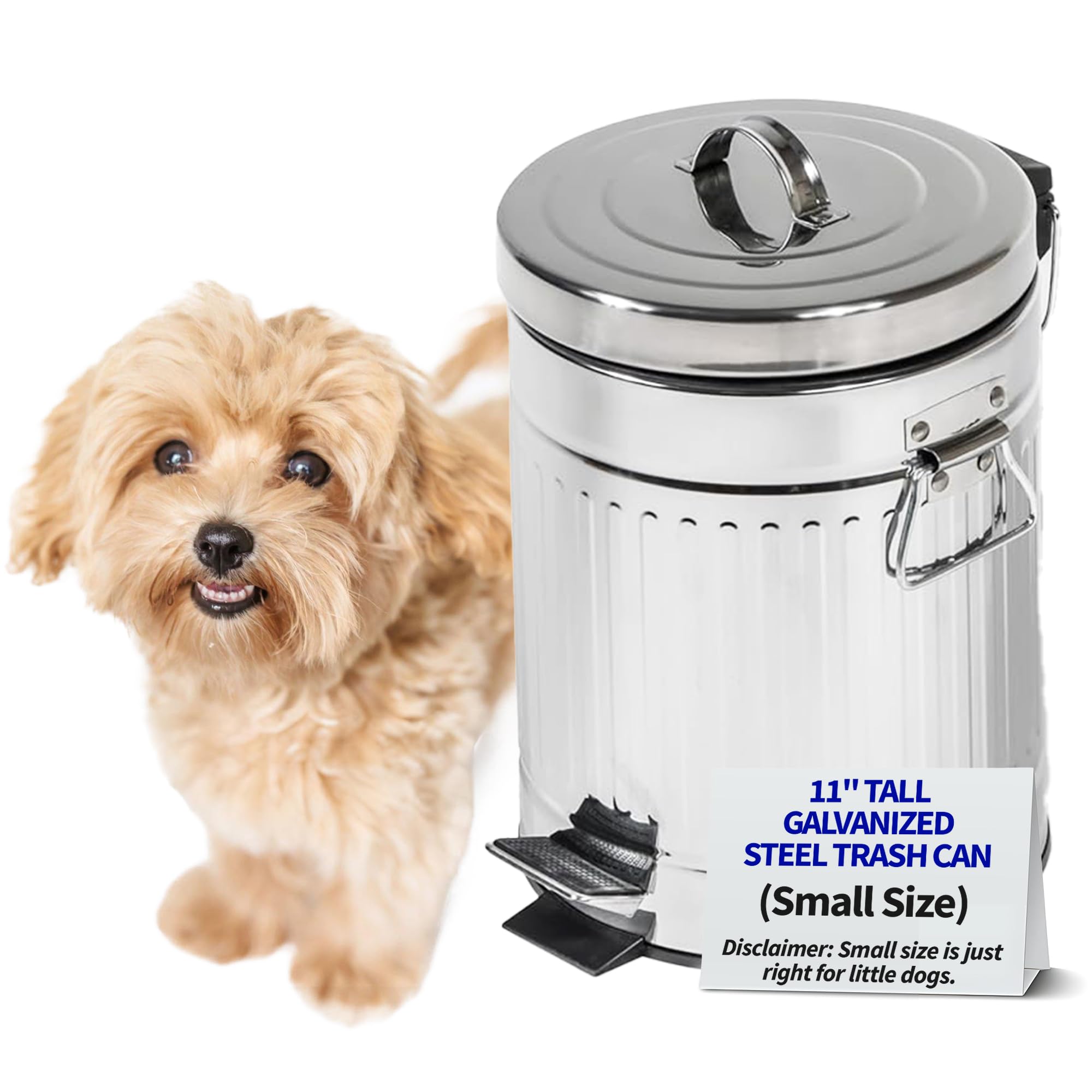 Pet Fit For Life Steel Trash Can with Lid