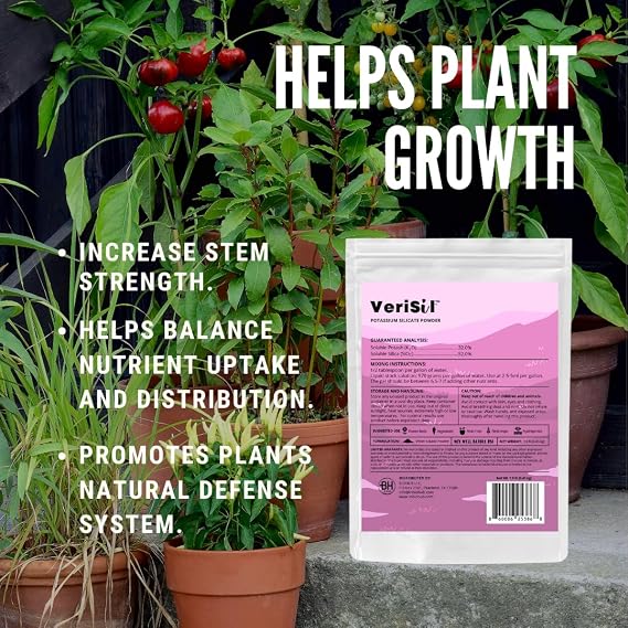 Potassium Silicate (for Plants) - 1.0 LB, White