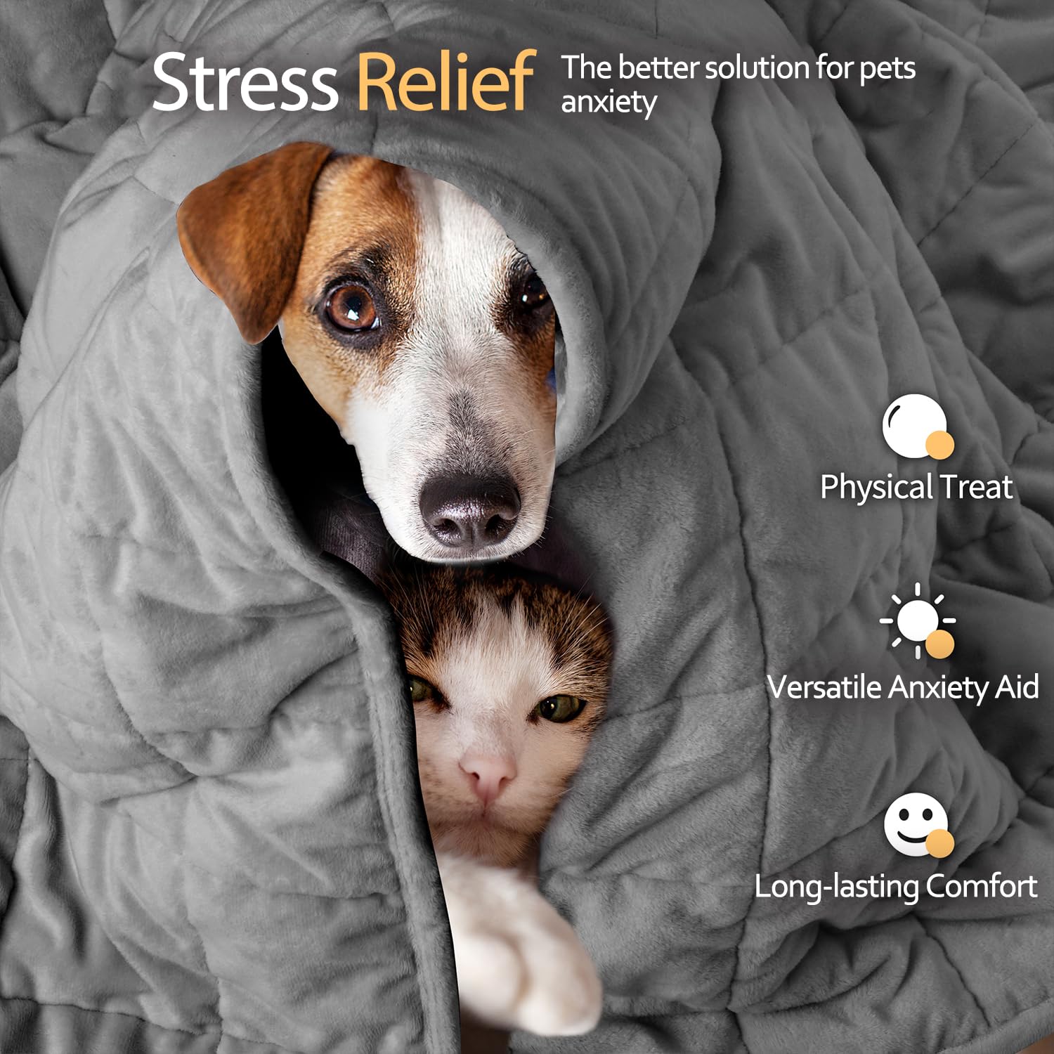 LaSyL Manta con Peso para Mascotas, Manta de Trueno para la ansiedad de los Perros | Minky Suave Relajación y calmante y antiansiedad | Se Utiliza en Coche, Cama, sofá | Gris Oscuro,