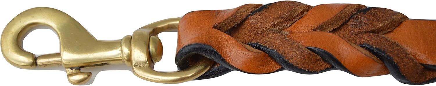 Leather Braided Dog Leash, Tan and Coral, 6 Feet x 3/4 Inch Wide, Genuine Real Leather
