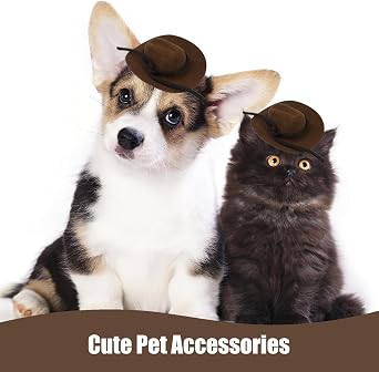 20 Pieces Mini Flocked Cowboy Hat, Cute Miniature Tiny Western Cowgirl Doll Hats for Party Decoration
