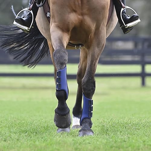 Vista 6 de Dover Saddlery Botas de galope multiusos, talla M, color morado