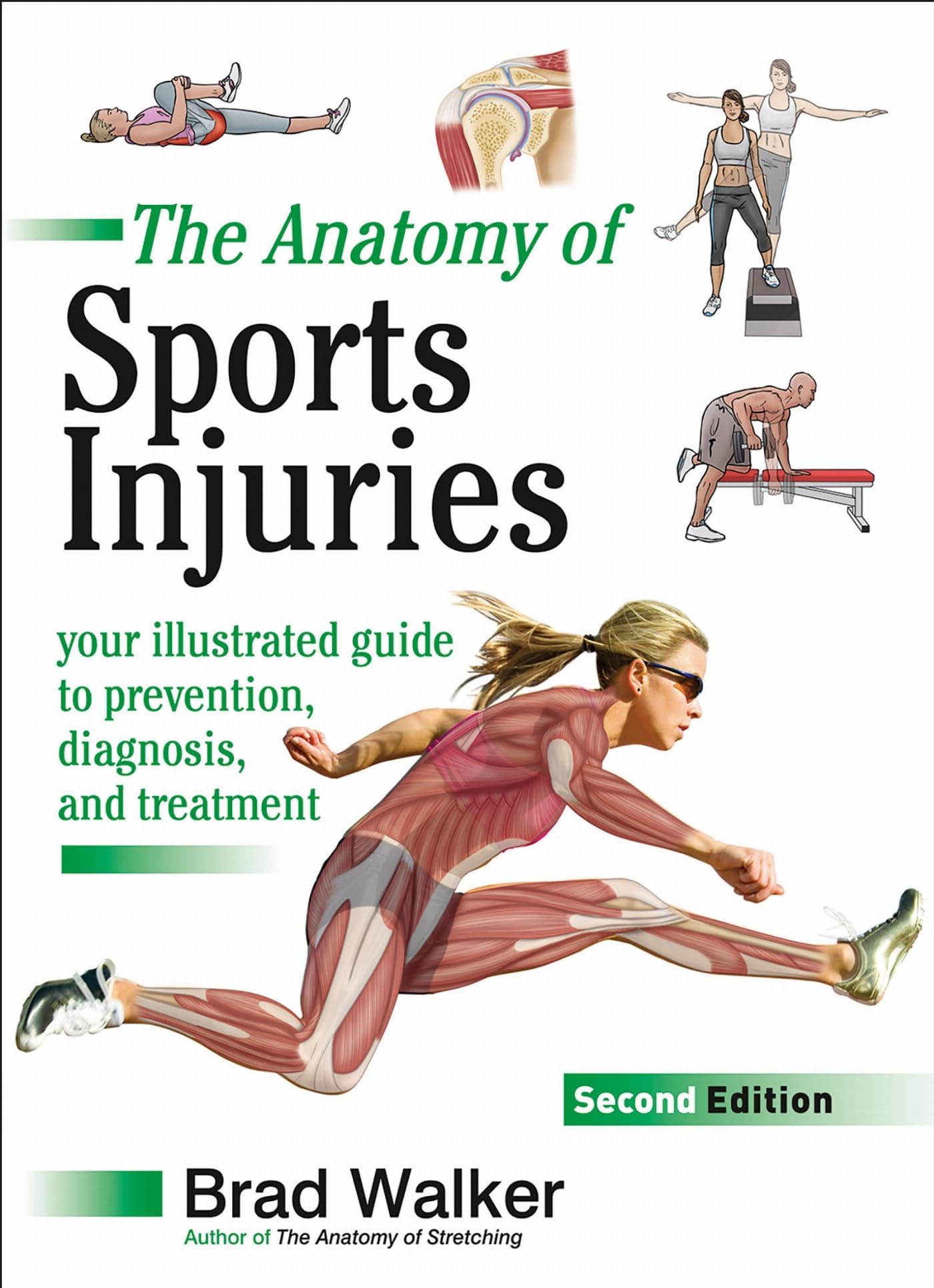 Sports Injuries: Your Illustrated Guide to Prevention, Diagnosis and Treatment 2nd Revised edition by Walker, Brad (2012) Paperback