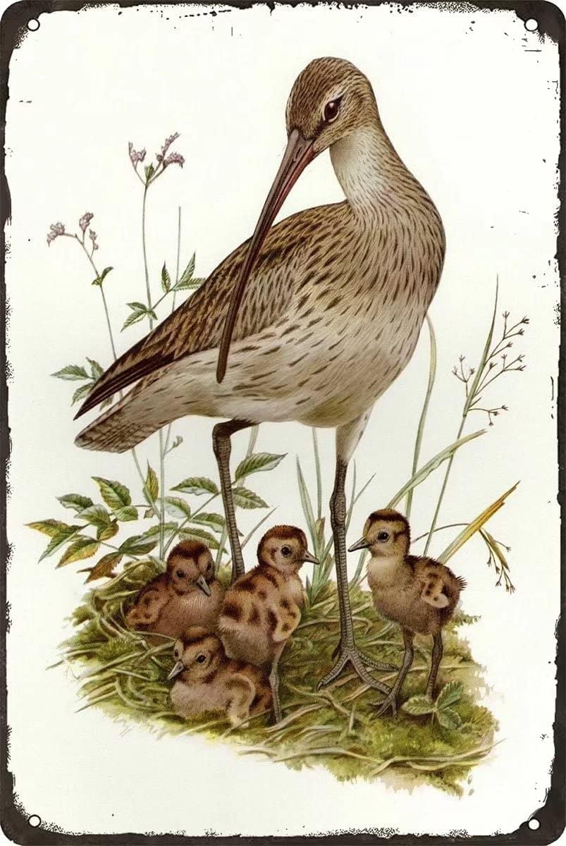 Bonoff Tinposter5342 Curlew Antique Bar Poster Vintage Wall Art Decor Metal Sign Poster 8X12 Inches
