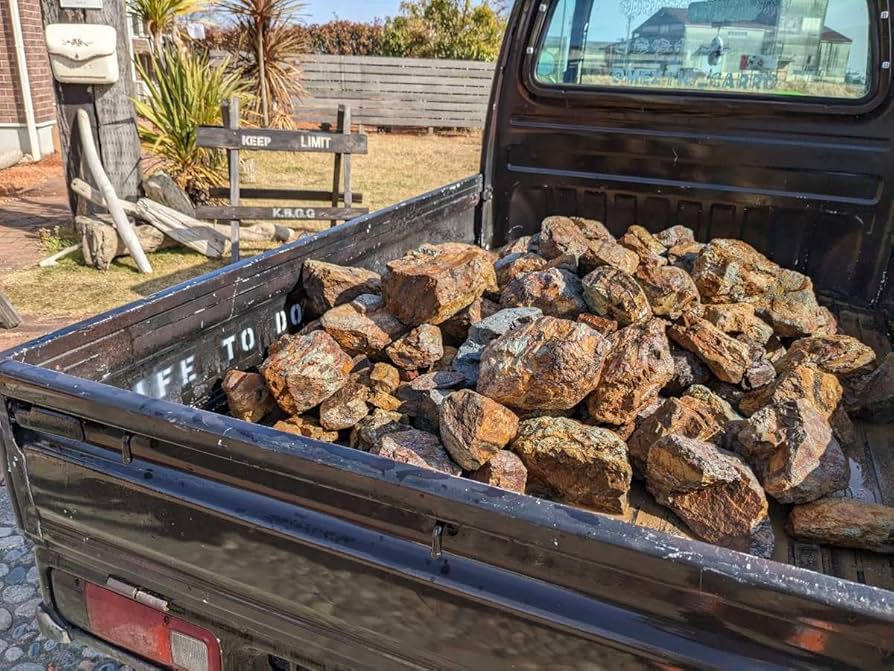 Amazon.co.jp: チャート石 アガベ ロックガーデン サボテン