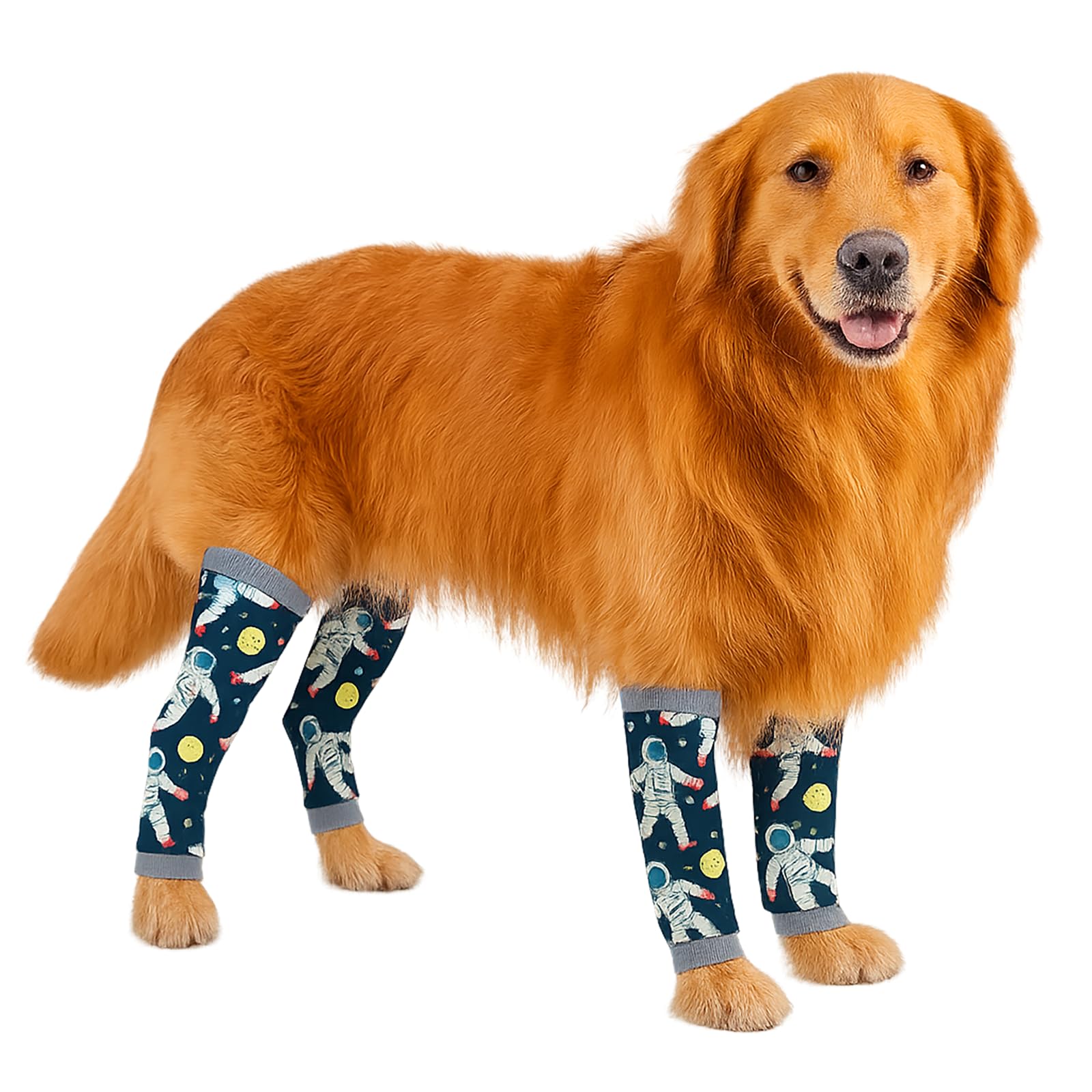 Manchons pour chien convalescent PetWarm vêtement de repos intérieur après chirurgie L