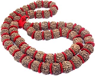 Certified Rudraksh Mala with Japa Bag Gaumukhi, Natural Himalayan Genuine Original Rudraksha Rosary Garland Japa Mala, Religious Tibetan Rudraksha Mala Necklace Bracelet Yoga Meditation Bead