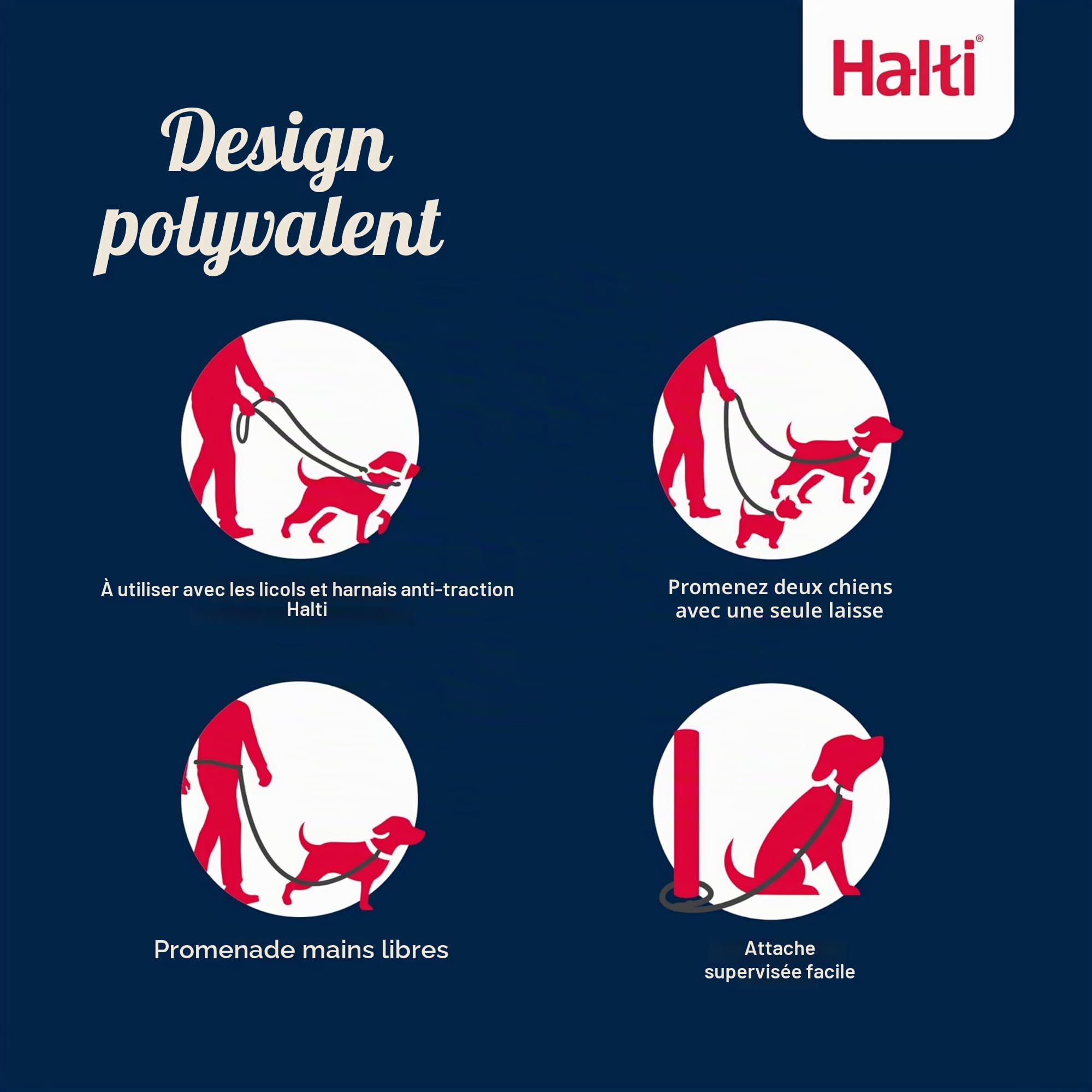 Laisse éducative HALTI - 7 Fonctions Conçues pour Vous Aider a Éduquer et Promener Votre Chien, Laisse de Dressage de Chien à Double Extrémité pour Chiens et Chiots (Taille L, Sable du Désert, 2m)
