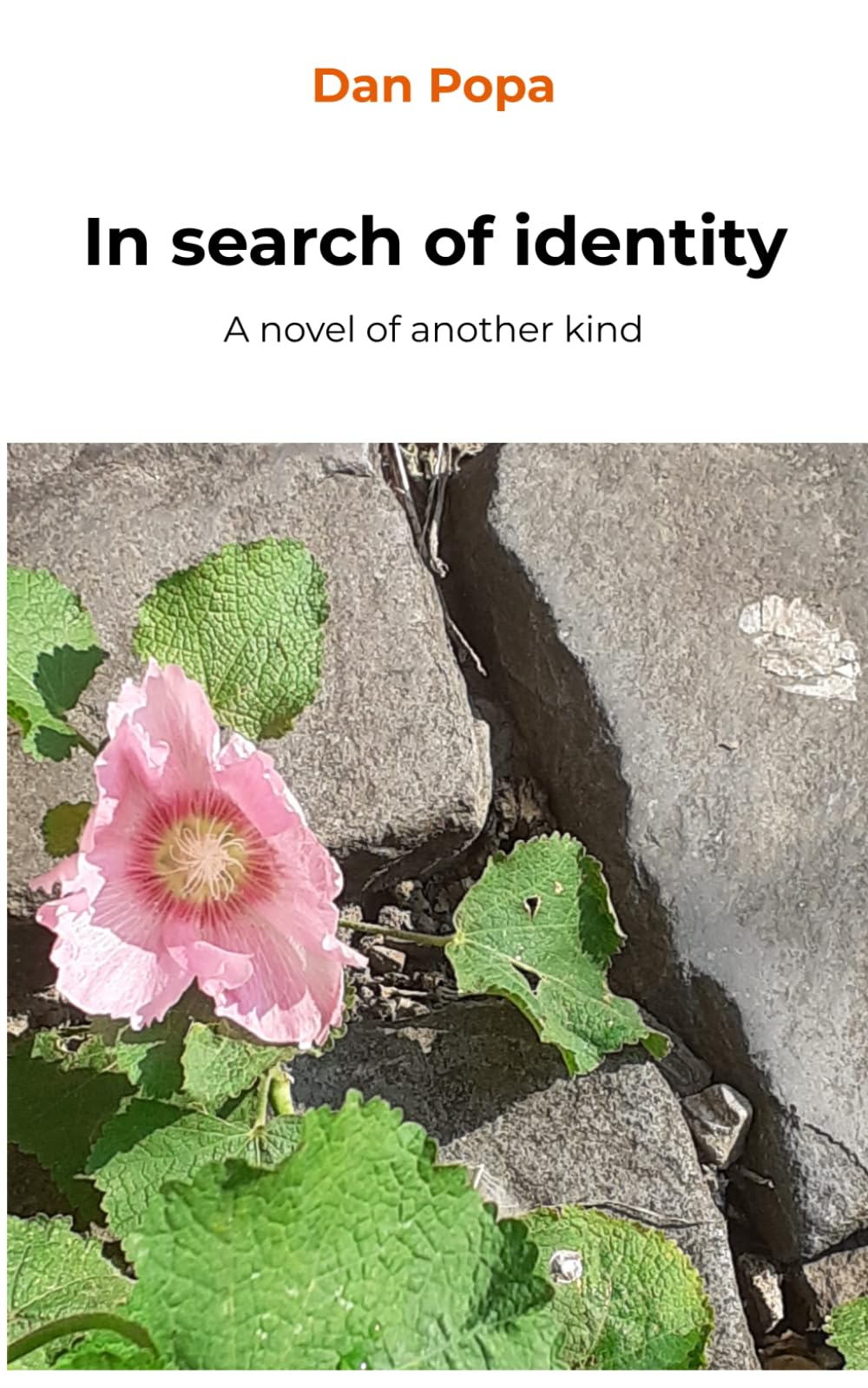 In search of identity: A novel of another kind