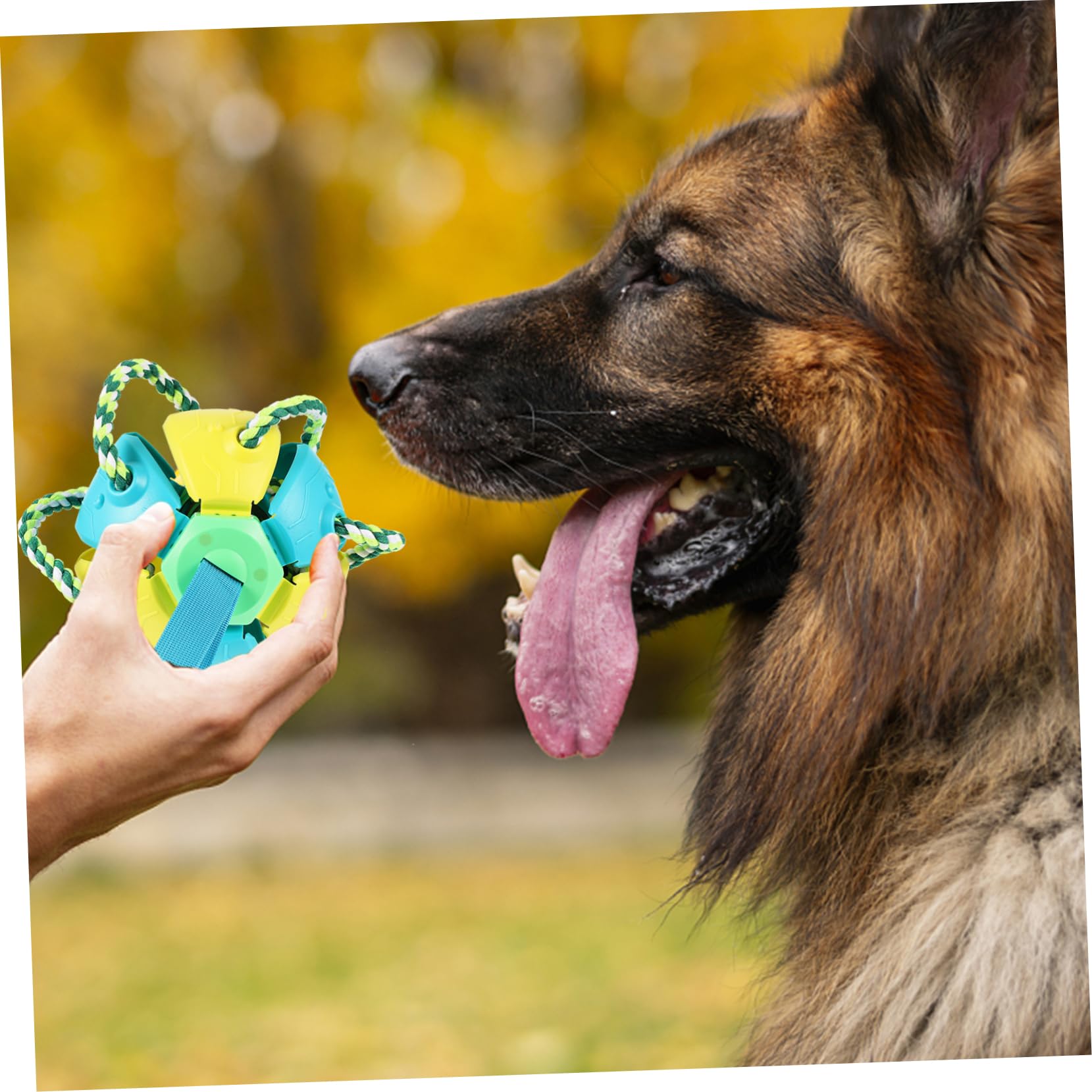 Hunde Apportierspielzeug Wurfballspielzeug für Training Draußen