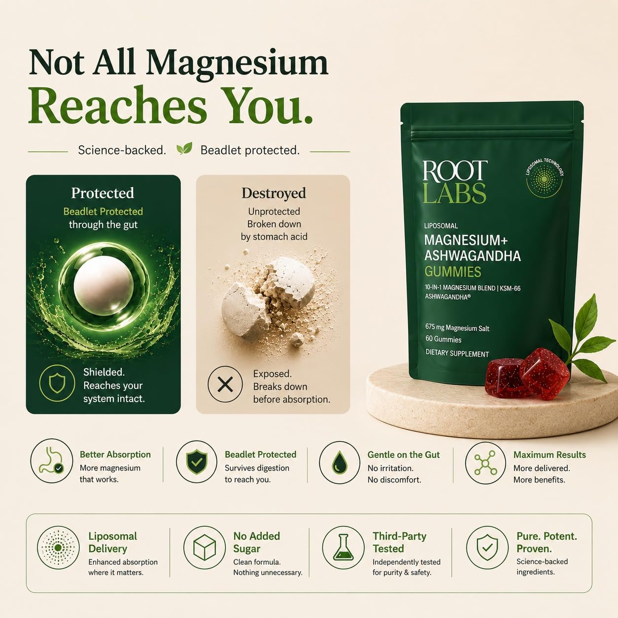 Root Labs Magnesium Glycinate Ashwagandha Gummies 675mg, Liposomal Delivery — Amazon image 5