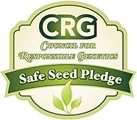 Vista 3 de Caléndula CRACKERJACK 500 Semillas (Tagetes erecta) Sin OMG - reliquia