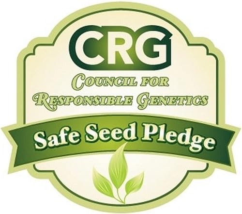 Miniatura 5 de Albizia julibrissin Rosea Árbol de Seda Persa Rosa 30 Semillas (Albizia julibrissin f. rosea)