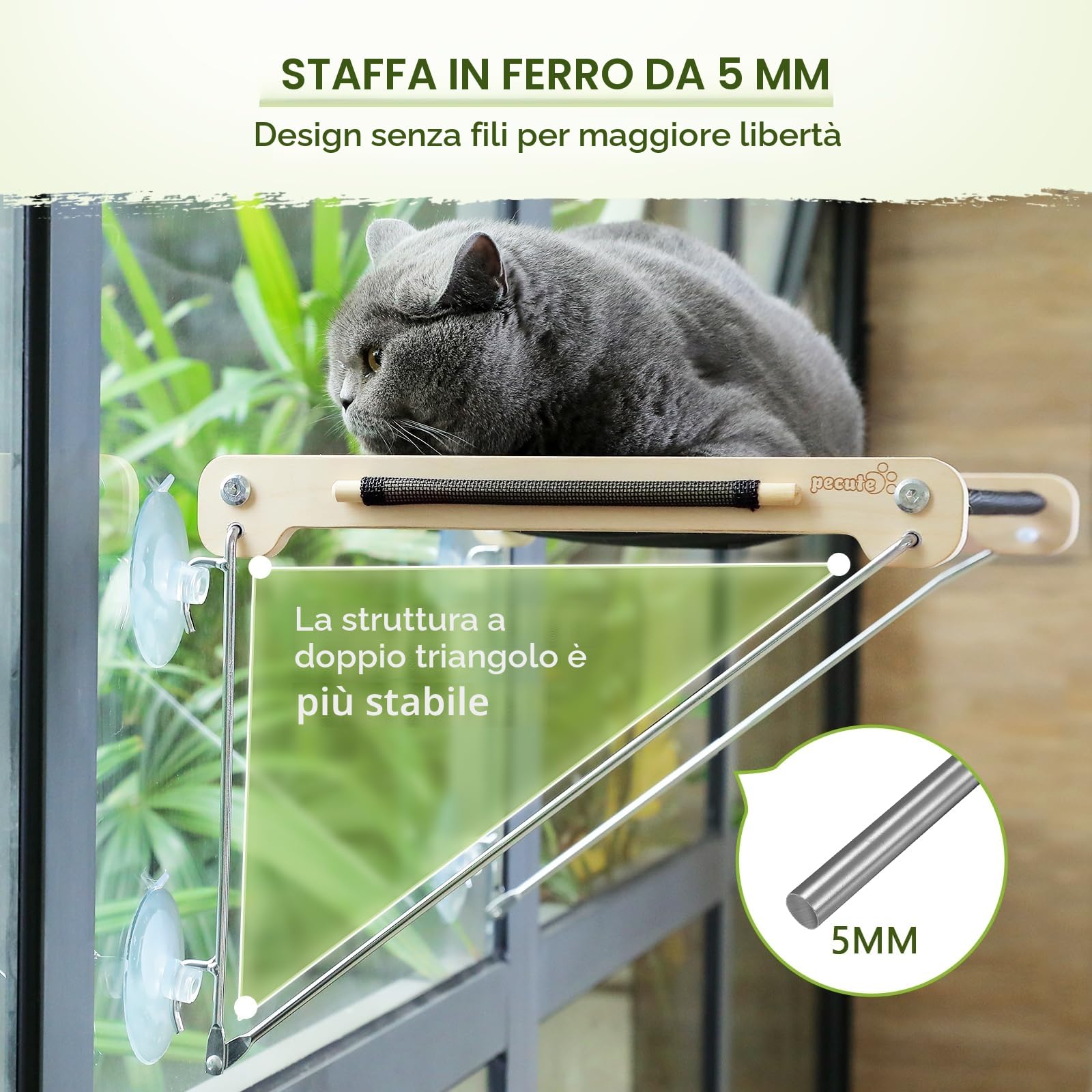Pecute Amaca per Gatti in Legno Osservazione Degli Uccelli 46 * 32 CM, Letto Montato per Gattini, Trespolo Robusto con 4 Ventose, Facile da Montare, può Contenere Fino a 15 kg