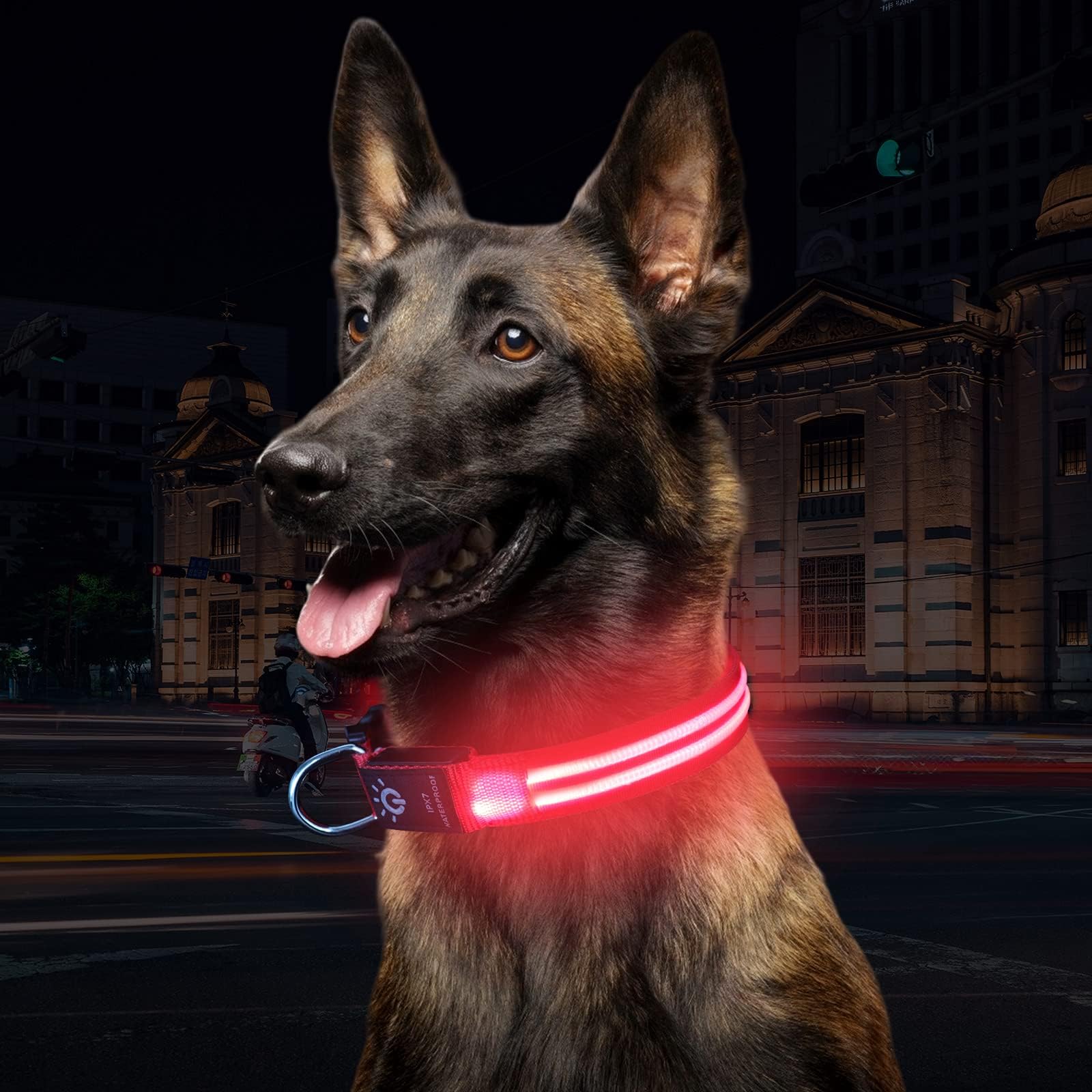 PowBear Light up Dog Collars -100% Waterproof - USB Rechargeable - Ultimate Bright LED Safety Collar for All Dogs - Stay Safe & Visible, Premium Nylon & Adjustable Buckle(Red, M)