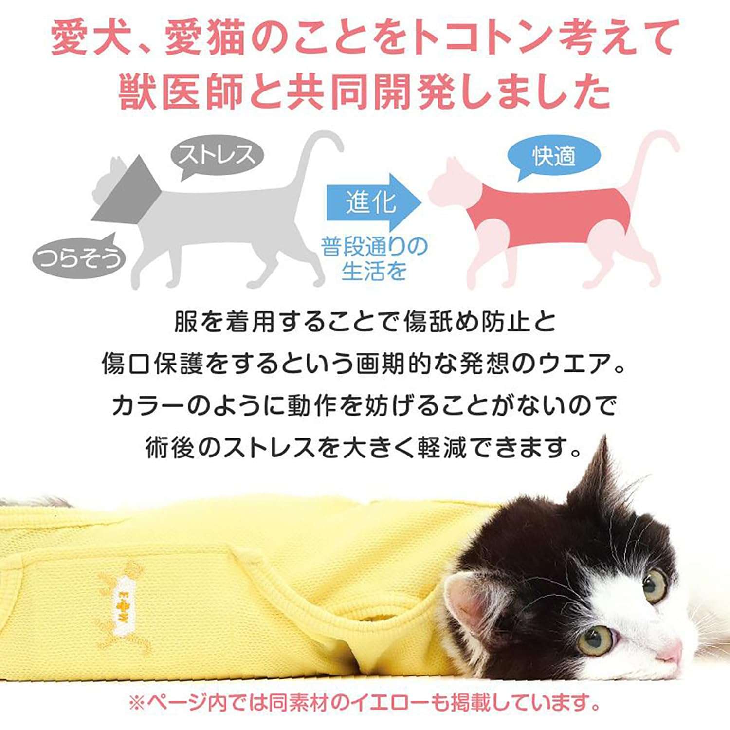 Amazon | 猫 術後服 エリザベスカラー不要 傷口舐め防止 手術後ケア