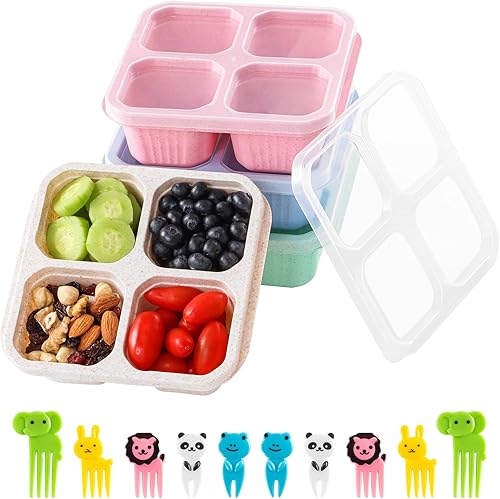 Paquete de 4 recipientes para aperitivos, lonchera Bento dividida con tapas transparentes, recipientes reutilizables para preparar comidas para Paquete de 4 recipientes para aperitivos, lonchera Bento dividida con tapas transparentes, recipientes reutilizables para preparar comidas para