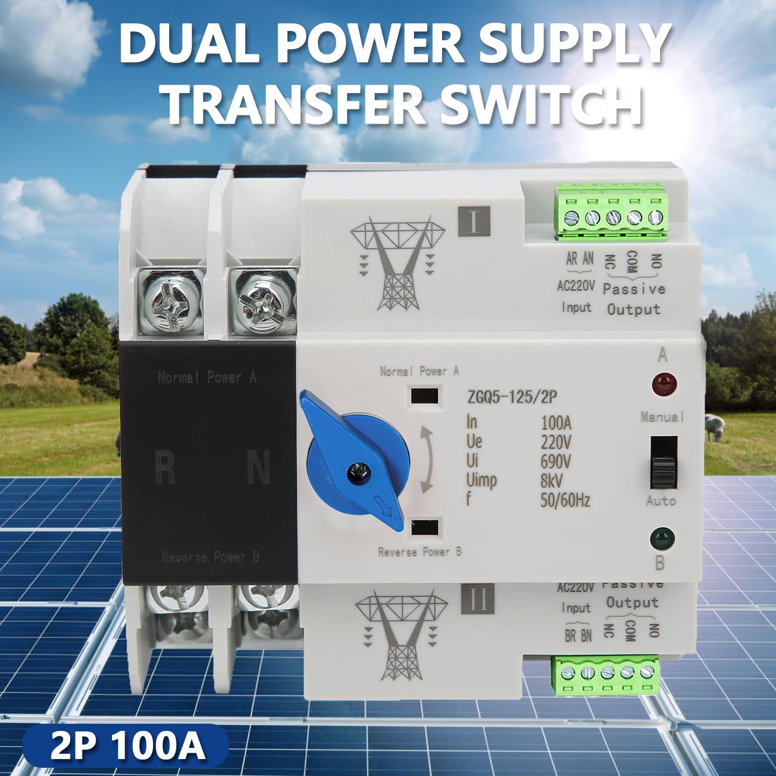 2P 100A ATS,Interruttore di Trasferimento Automatico,ATS Fotovoltaico 220V 100A 2P Automatico Interuptore a Doppio Transferencia, per Solar Panel e Elettricità Municipale