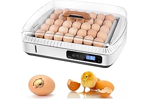 Incubators for Hatching Eggs 56 Egg