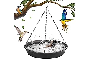Outdoor Hanging Bird Water Dish or Seed Tray with Drainage Holes -...