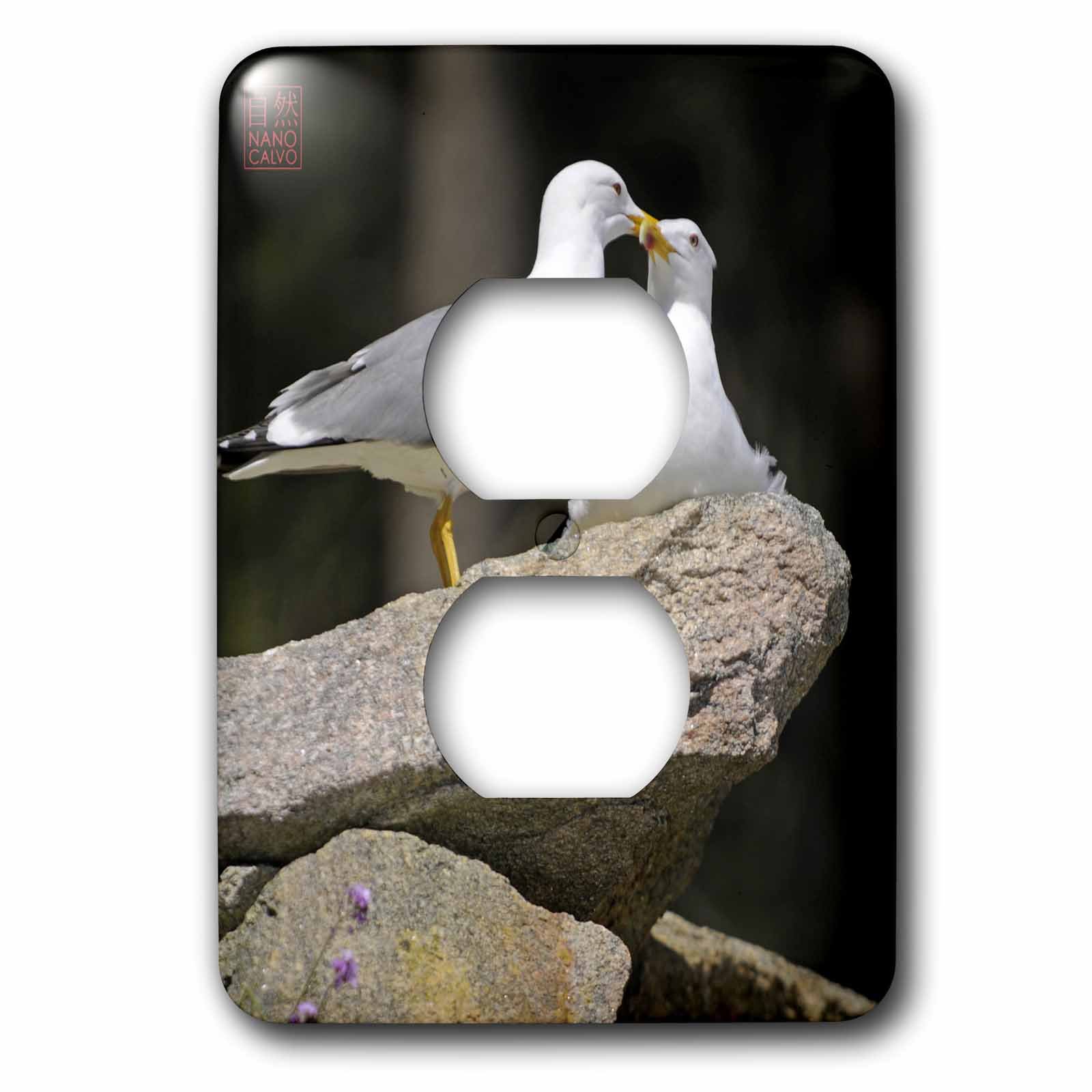 Plaque décorative Seagulls Interact in Rodas Beach cache de prise luxe