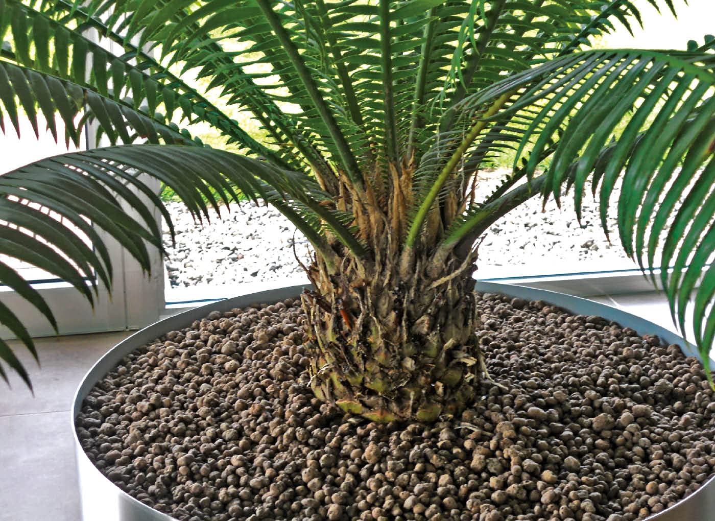 Argilla ESPANSA Sacco LT.50 DRENANTE del Terreno E DECORATICA Sacco 50 Litri