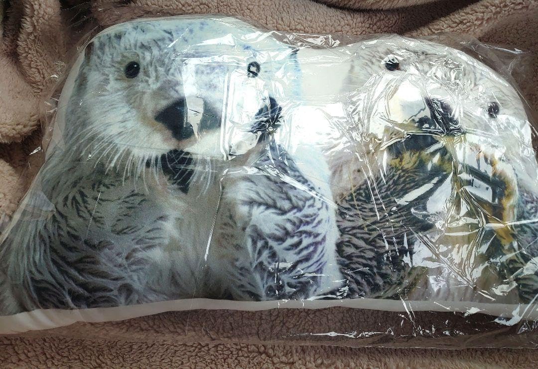 鳥羽水族館 メイちゃん&キラちゃん クッション ラッコ メイちゃんとキラ