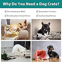 Vista 5 de Jaulas para perros de 42 pulgadas, jaulas plegables de alambre mental para mascotas con panel divisor de doble puerta, bandeja extraíble y asa