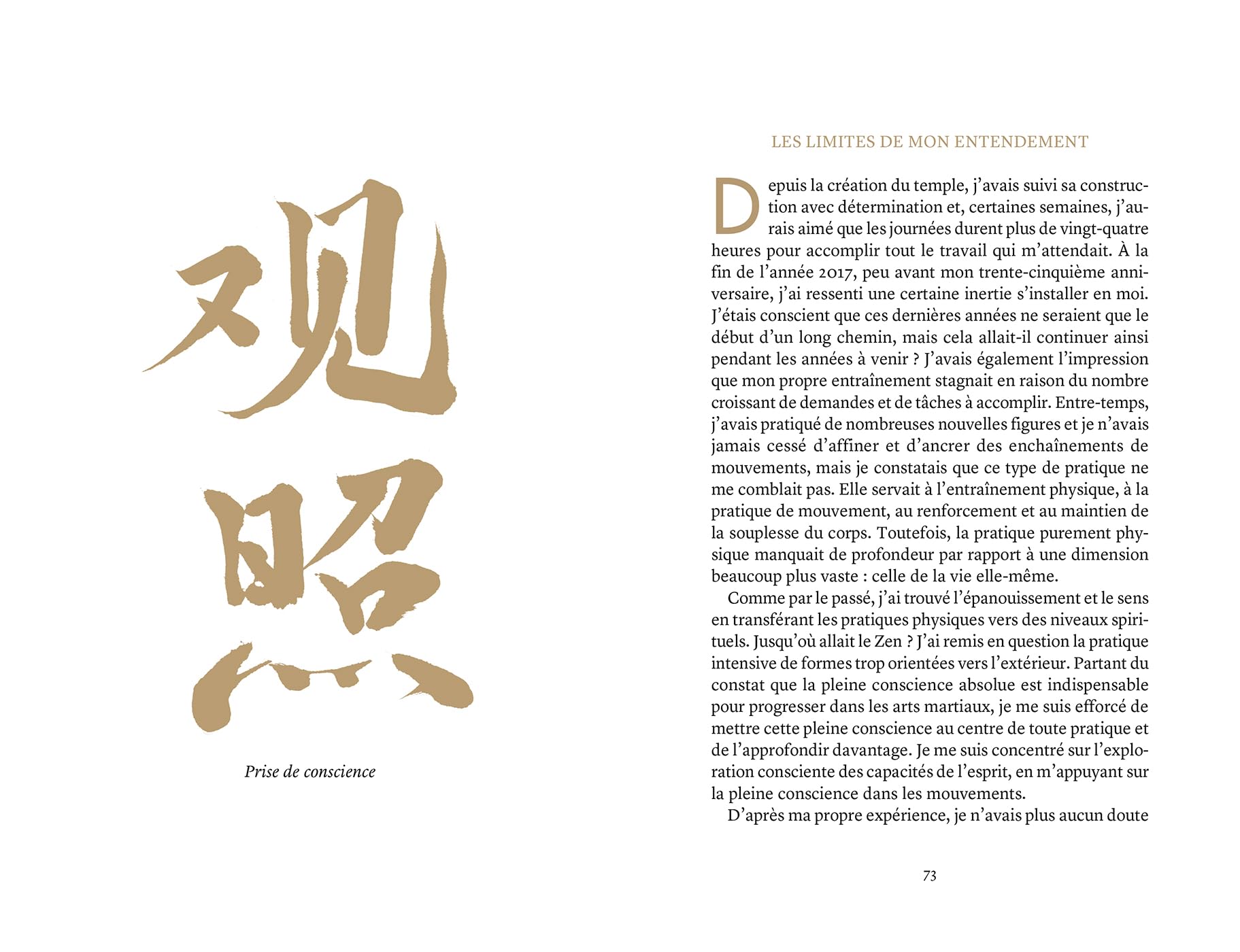Shaolin Mind: Après Shaolin Spirit, découvrez les révélations spirituelles du grand maître Shaolin.