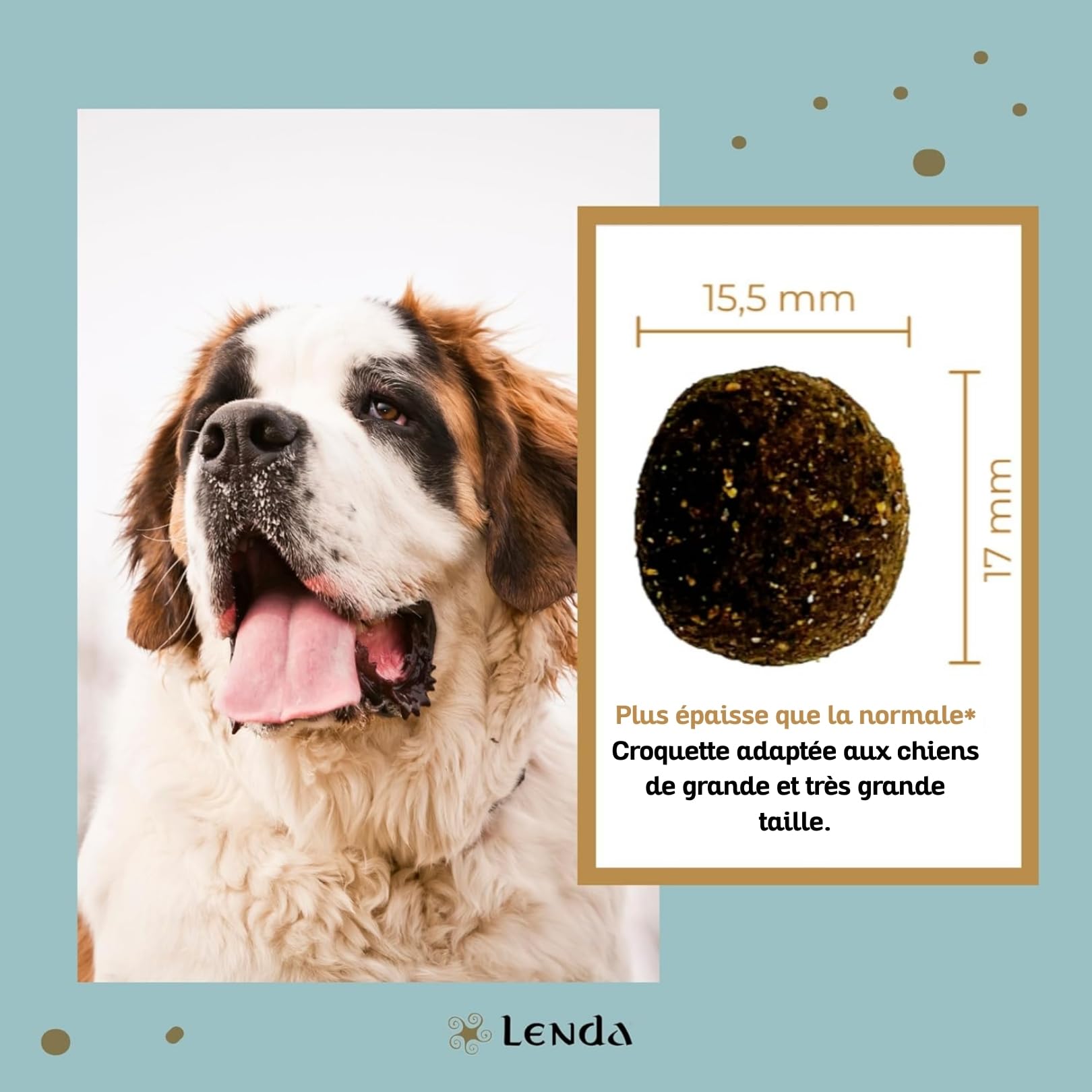 Lenda Chicken Maxi 12 kg -Croquettes Chien Jeunes et Adultes avec Chondroprotecteurs Probiotiques et Huile de Saumon – Nourriture Chien Taille Grande – Croquettes Naturelles pour Chien