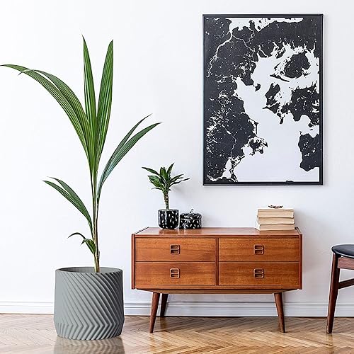 Miniatura 7 de Fox & Fern Maceta Grande de 12 Pulgadas  Maceta de Polipiedra Gris Premium con Textura 3D y Tapón de Drenaje Macetas de 12 Pulgadas para Plantas de