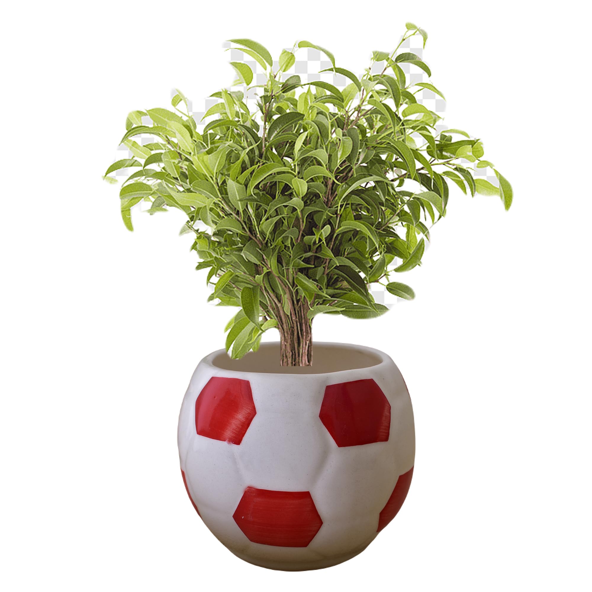 Kunhar Ceramic Football Planter, Football Shape Flower Pot, Without Plant, White Red (B0C9W4JPTN) Amazon Price History, Amazon Price Tracker