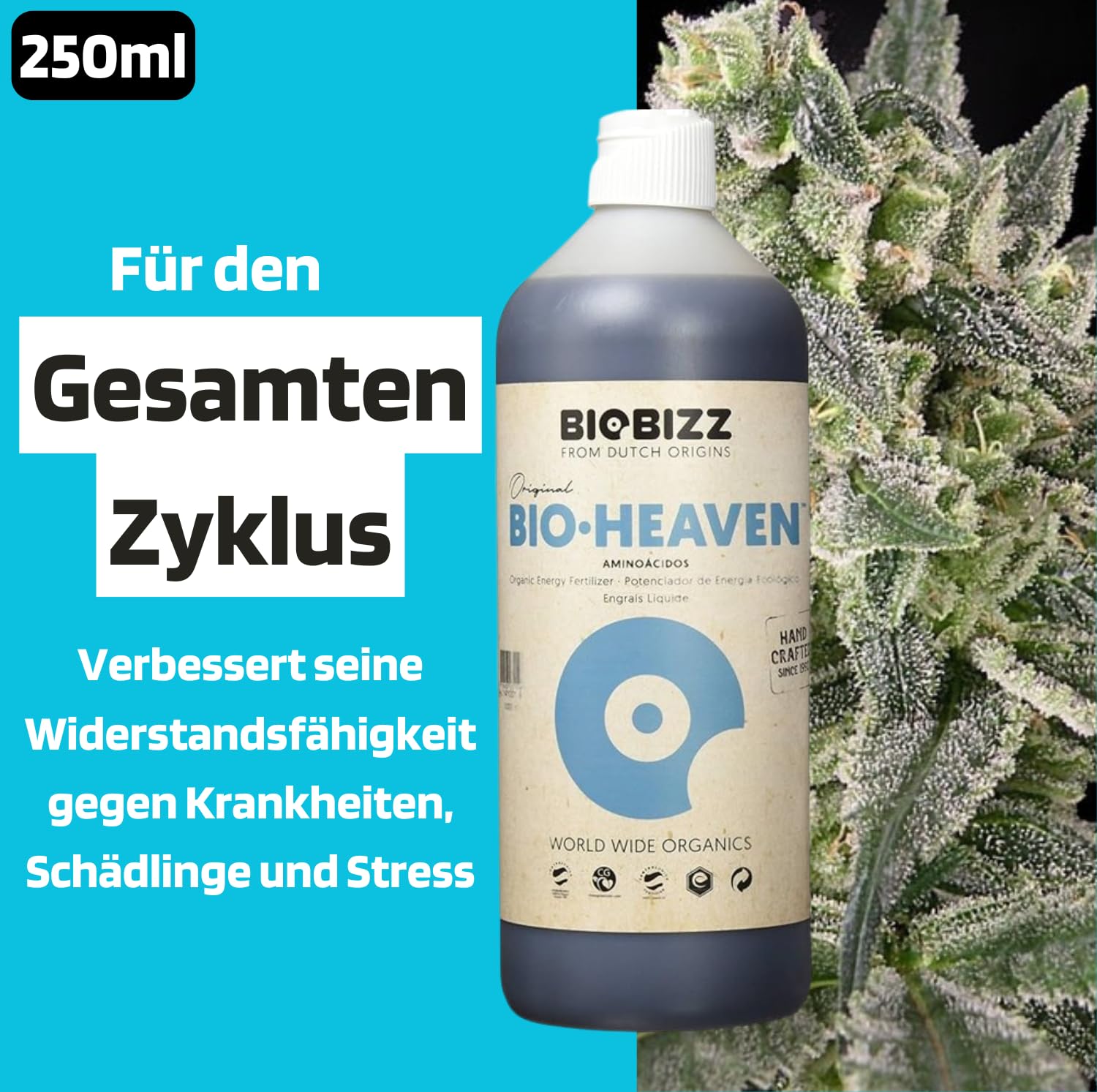 Starter Pack Biobizz Dünger Set | Starterset GrowSet Indoor | Naturdünger | Flüssiger | Wachstum und Blüte | 100 % organisch | Für 10–30 Pflanzen | Für Anfänger geeignet | Einfache Anwendung