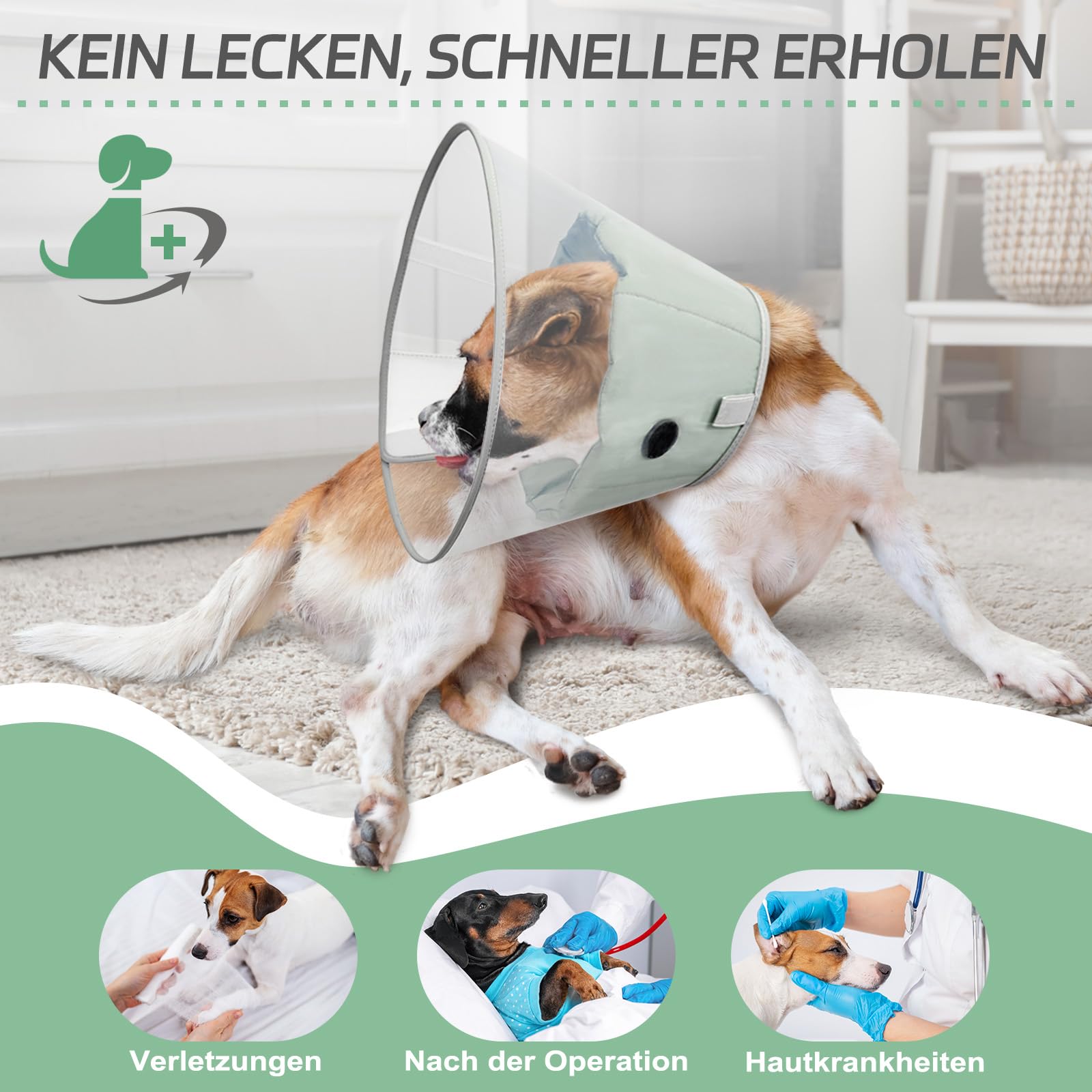 Supet Halskrause Hund nach Operation mit weichem Polster, transparente Genesungshalskrause für große, mittlere und kleine Hunde nach Kastration, bei Wunden & Hautpflege(Grün,L)