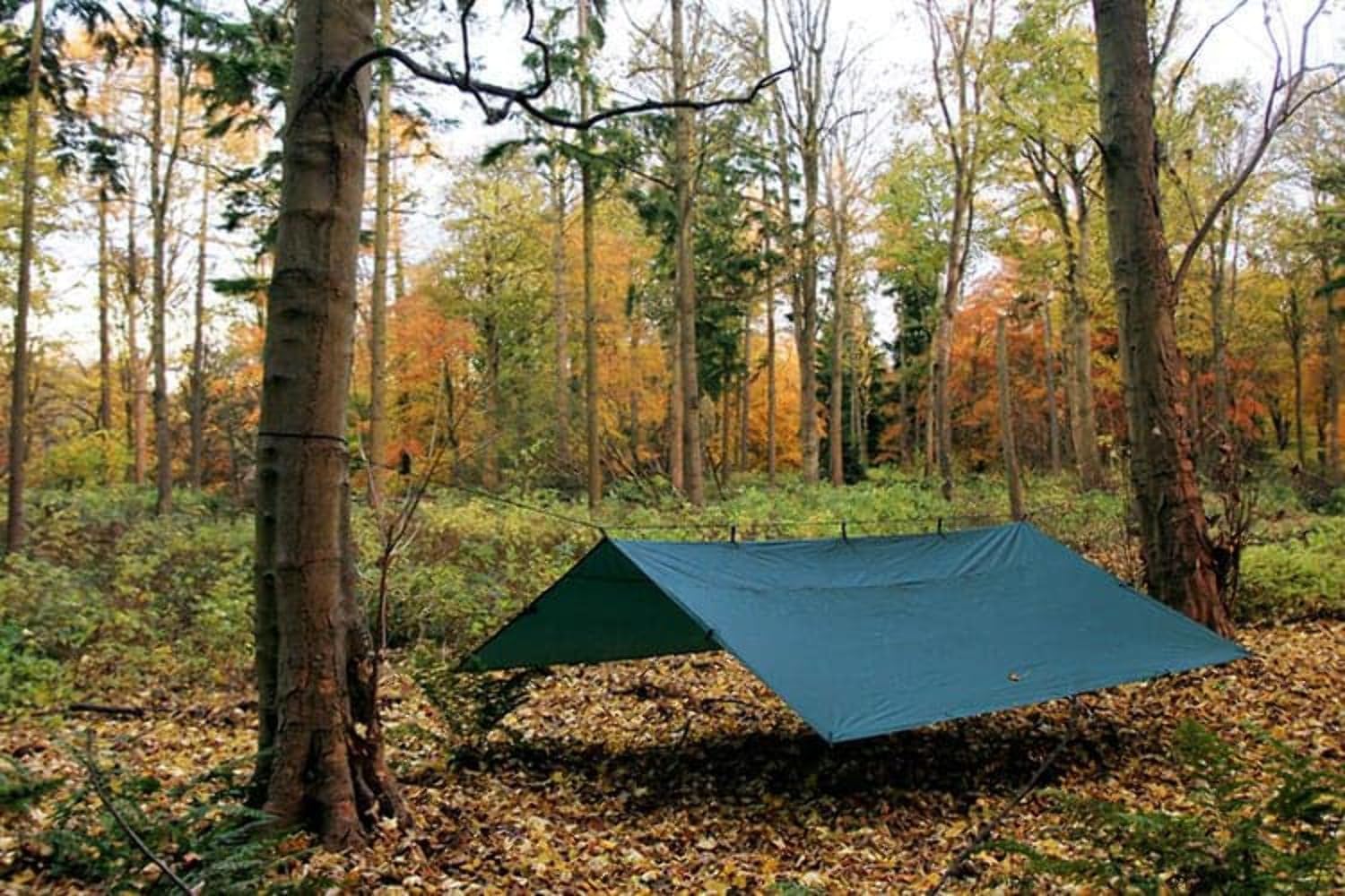 DD Tarp 4x4 フォレストグリーン Amazon | DD Hammocks DD タープ 4×4 フォレストグリーン 日本正規品