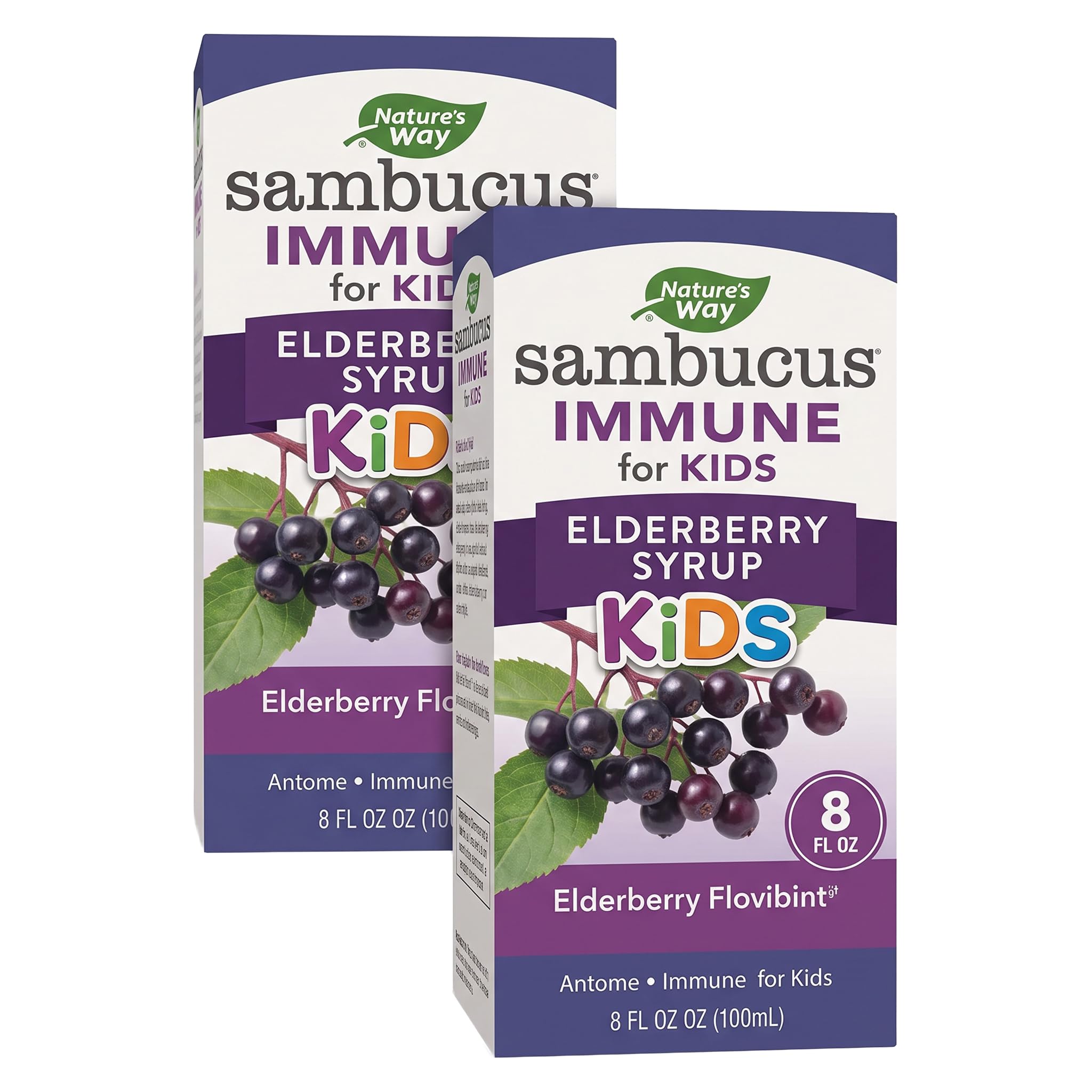 Nature's Way Sambucus Elderberry Immune Syrup for Kids Ages 2+,Echinacea &amp; Propolis,with Superfood Antioxidants(1),Immune Support Syrup*,Vegetarian,Berry Flavored,8 Fl Oz,(Pack of 2)