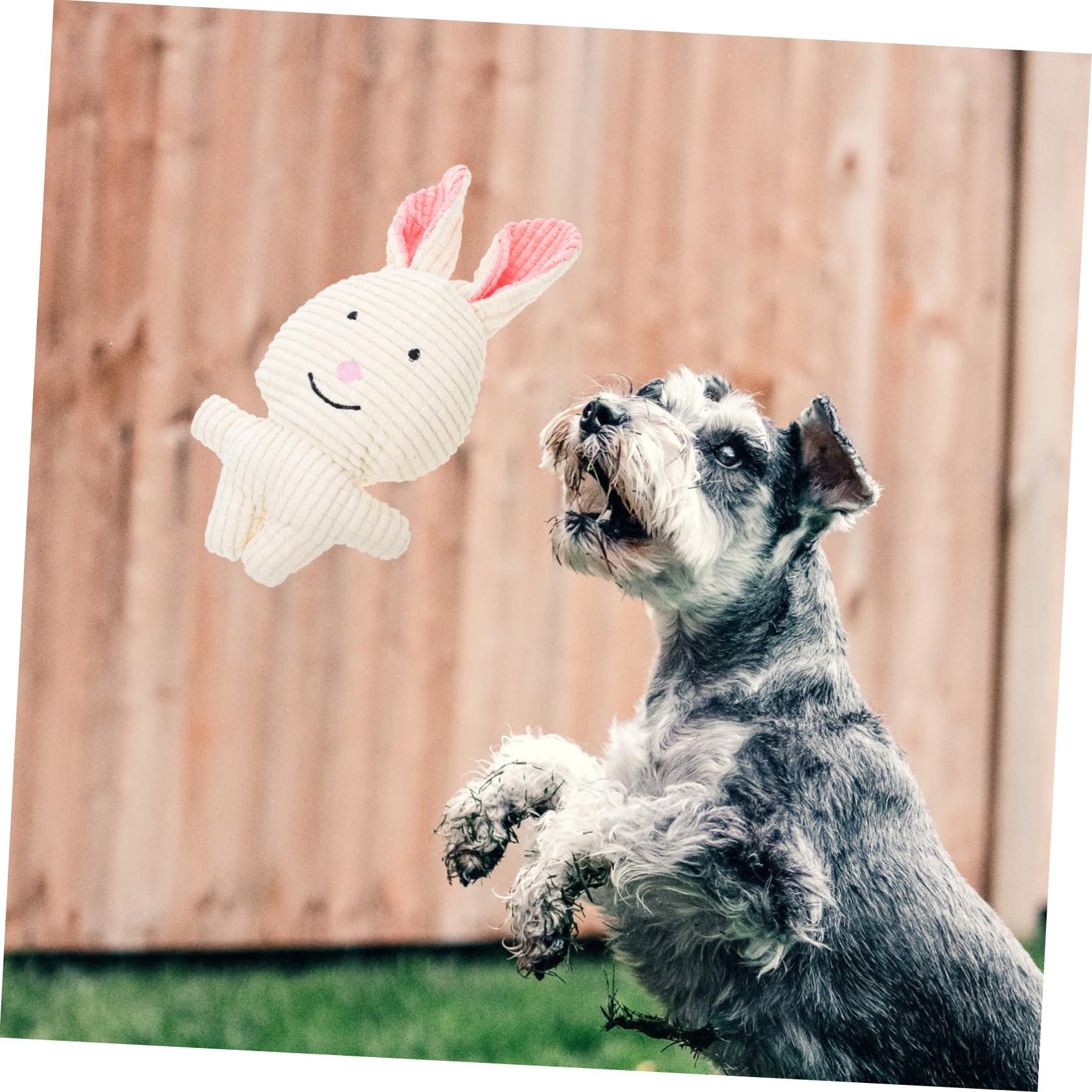 Supvox 5stücke Hundespielzeug Aus Plüsch Mit Quietscher Molarspielzeug Für Hunde Und Katzen Langlebig Und Sicher Zähneputzen Und Spielen Für Kleine Und Mittelgroße Haustiere