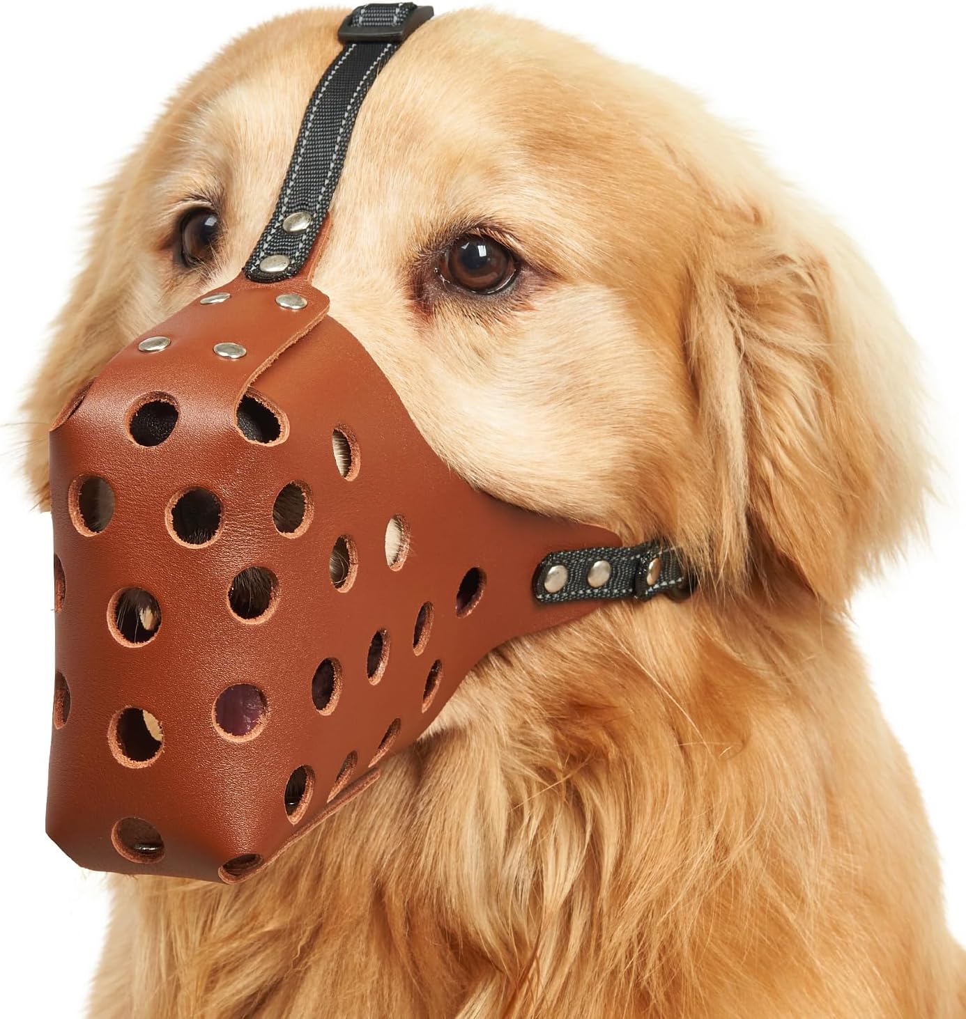 Mayerzon Dog Muzzle, Soft Leather Basket Muzzle for Small Medium Large Dogs