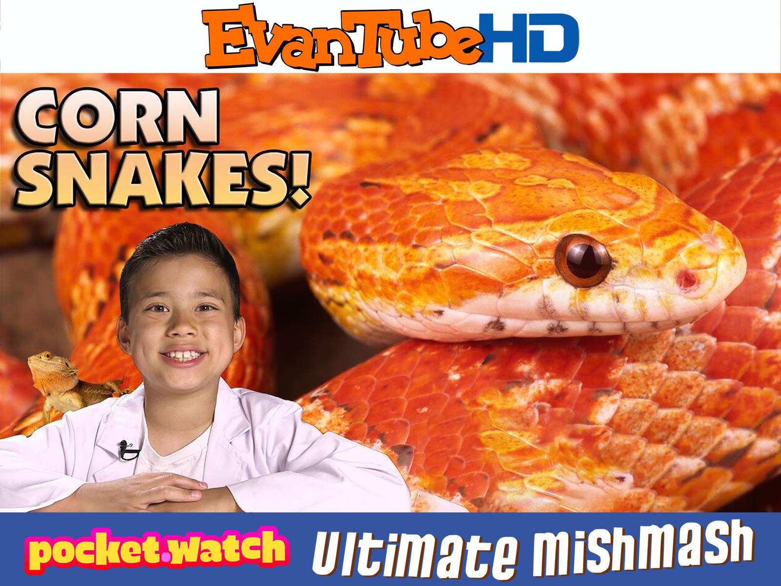 Watch pocket.watch EvanTubeHD Ultimate mishmash Prime Video