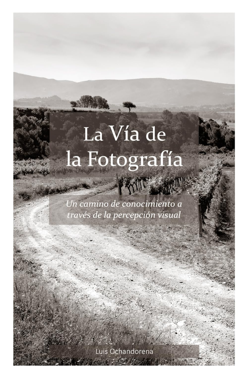 La Vía de la Fotografía: Un camino de conocimiento a través de la percepción visual