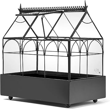 H Potter Glass Terrarium Wardian Case with Hinged Roof, Indoor Tabletop Planter with Metal Base, Decorative Plant Display for Succulents, Ferns, and Moss, 10.5 Inch Tall