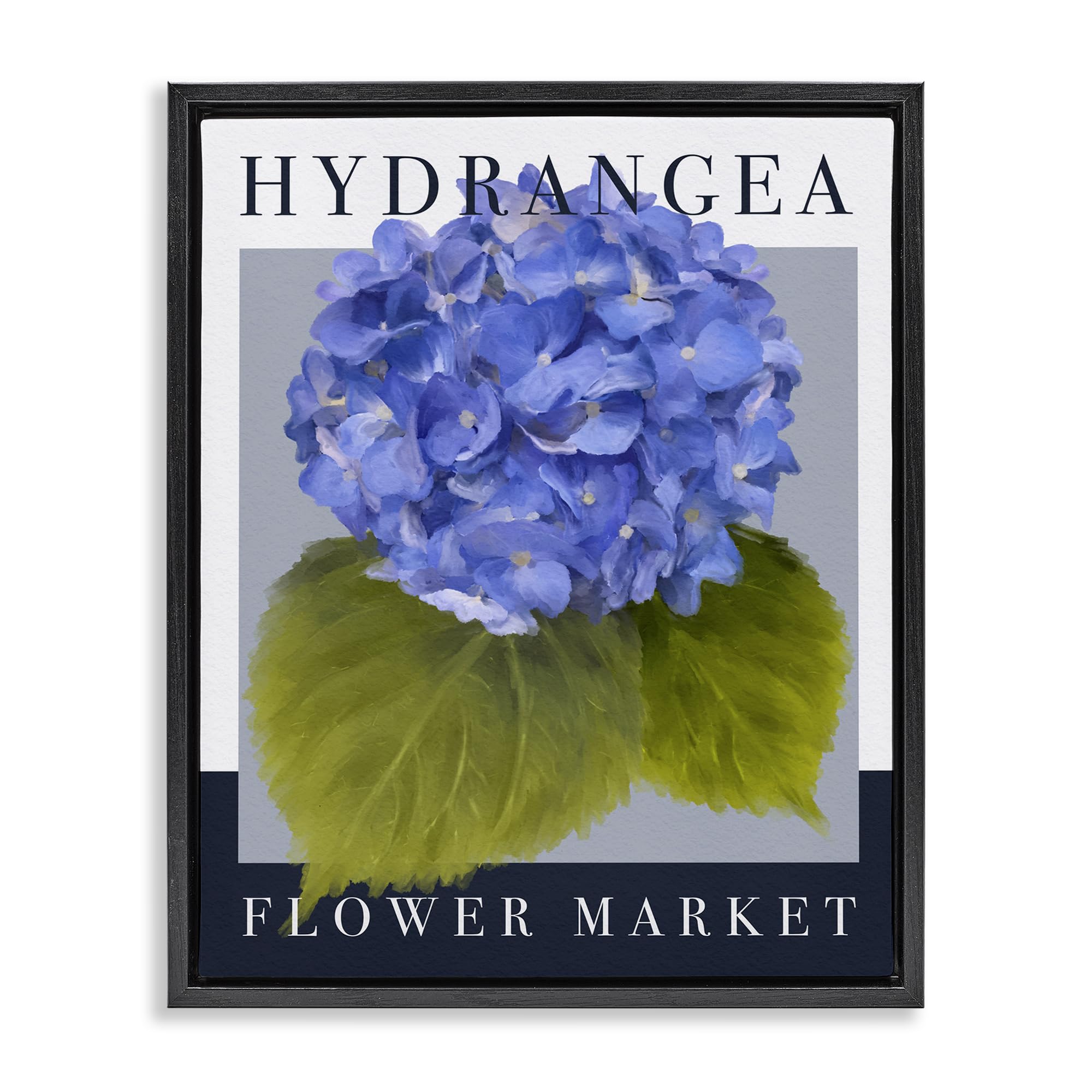 Stupell Industries Jet Black (Matte) Hydrangea Flower Market Floral, 16 X 20 Inch Canvas In Floater Frame
