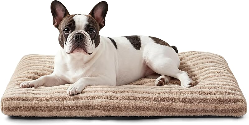 Cama para Cães Pequenos FURTIME Lavável com Tecido Macio e Enchimento Acolchoado, 58,42 x 45,72 x 7,62 cm
