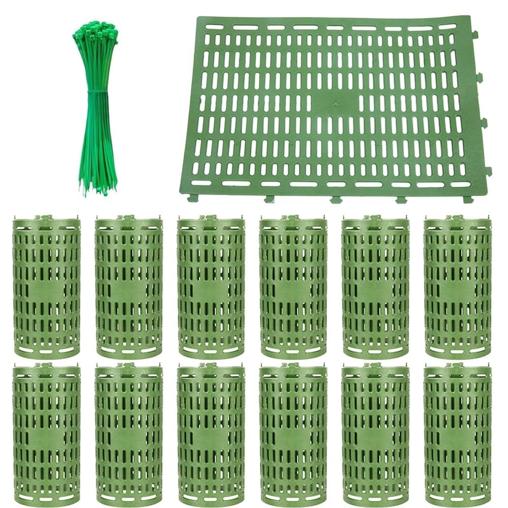 Protector de plantas de plástico verde con agujeros de ventilación antimoho