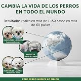 Ver la foto 6