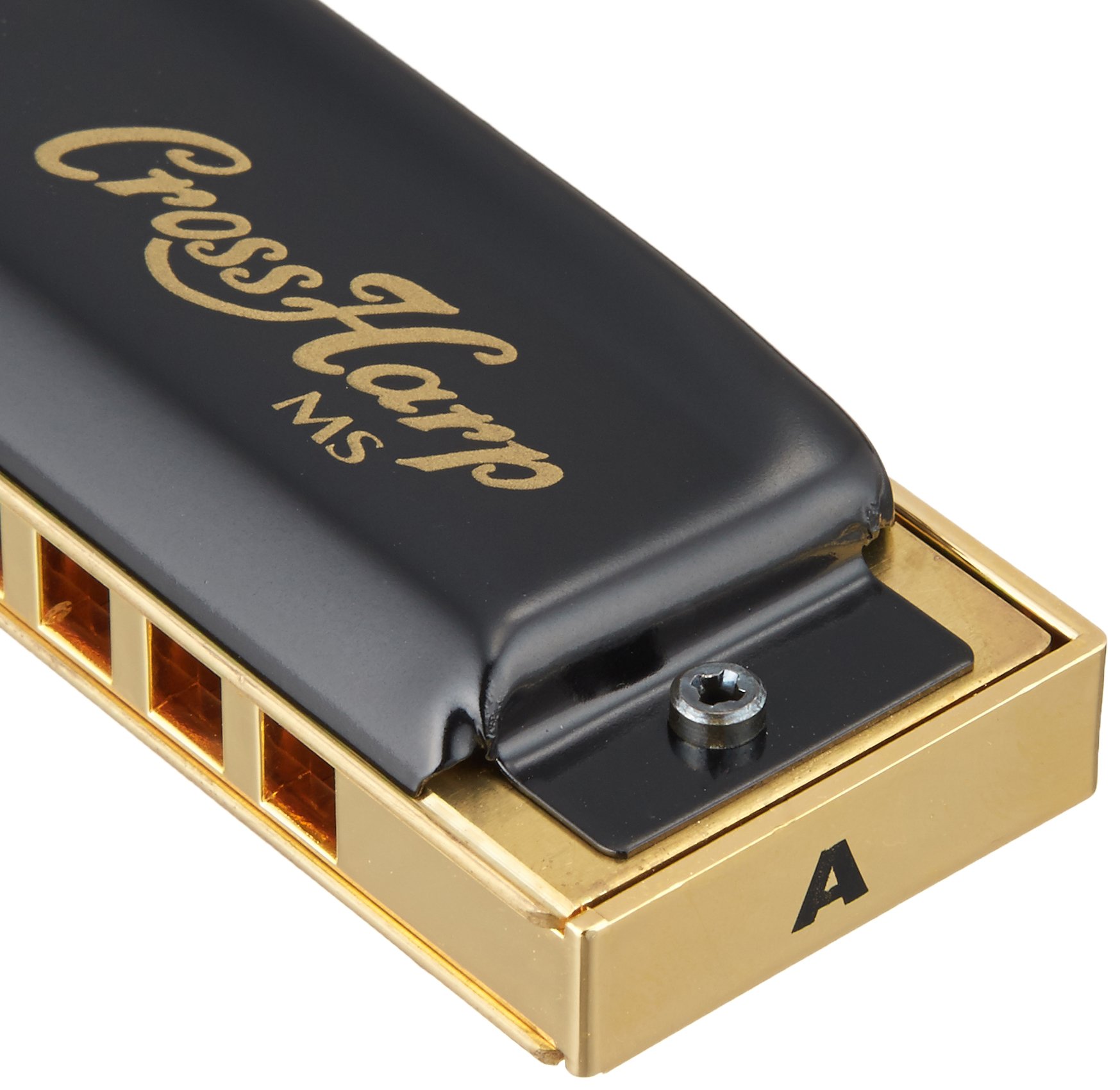 Amazon | HOHNER ホーナー ダイアトニック/シングルリード