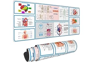 Human Anatomy Physiology Medicine Mouse Pad