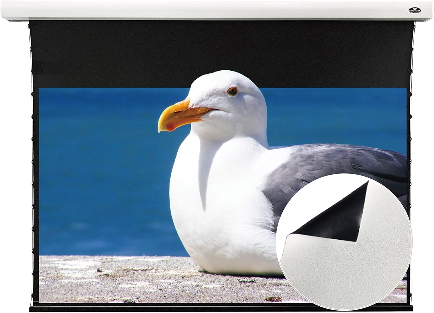 VIVIDSTORM-Projector Screen,Slimline Electric Tab-tensioned Drop Down with White Cinema Screen,White Housing Ceiling and Wall,Compatible with Normal Projector,VMSLW84H